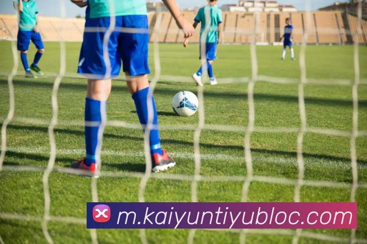 App Interface Preview