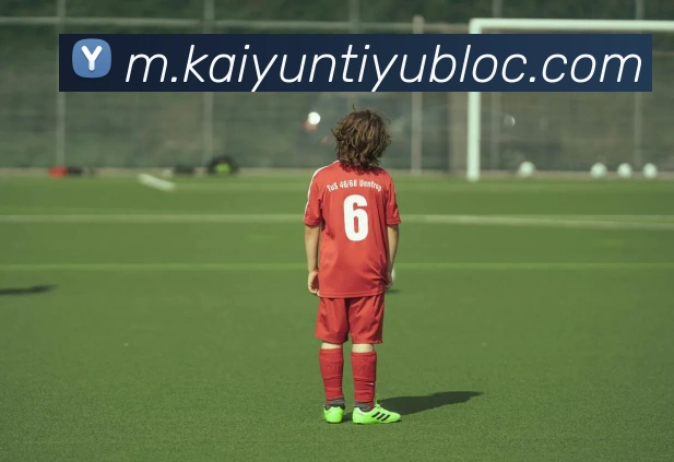 开云足球APP 封面图