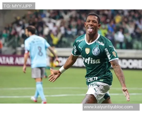 巴西球队展现统治力连续七年夺得南美解放者杯冠军荣耀